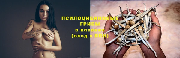 дживик Балахна