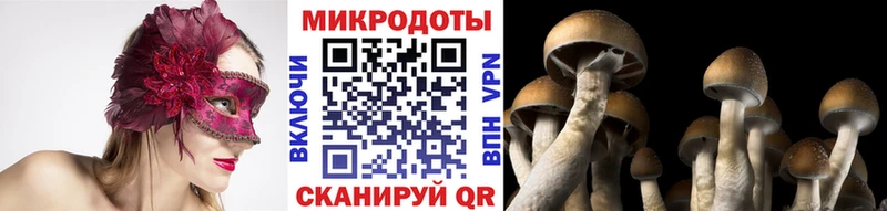 купить закладку  Балей  Галлюциногенные грибы прущие грибы 